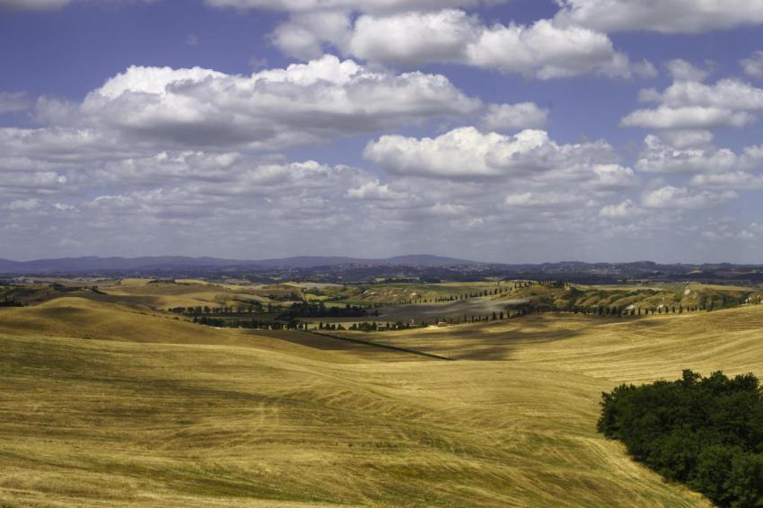 Rural landscape in val d orcia tuscany italy 2023 11 27 05 12 15 utc