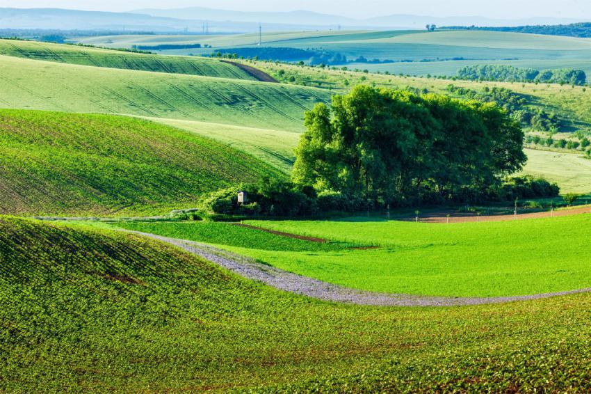 Moravian rolling landscape with trees 2024 10 13 08 32 34 utc