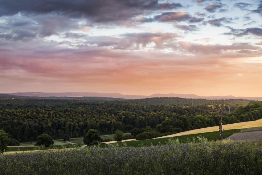 Landscape over fields and forests elevated view 2024 07 01 18 12 46 utc