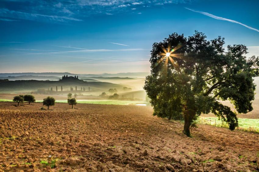 Foggy valley in the morning tuscany 2023 11 27 04 51 41 utc