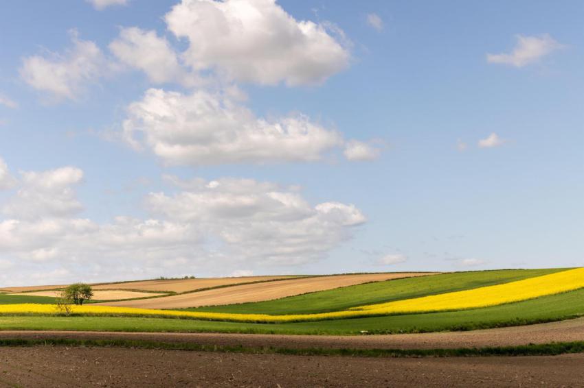 Beautiful view of a farmland under blue cloudy sky 2023 11 27 05 29 11 utc