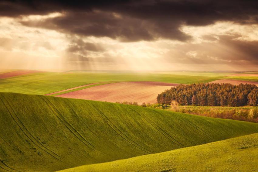 Beautiful field 2024 09 16 13 00 02 utc