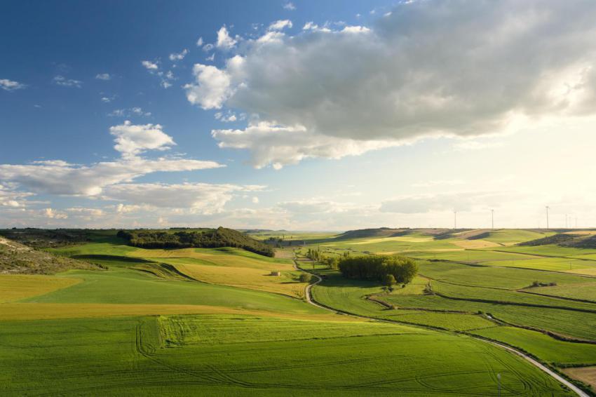 A view of a beautiful country landscape of green f 2024 05 03 20 31 38 utc