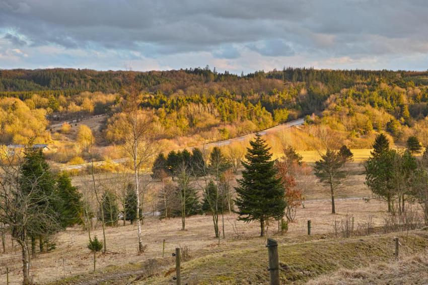 Autumn in denmark a rural scene during autumn in 2023 11 27 05 36 01 utc