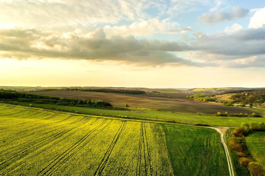 Aerial view of bright green agricultural farm fiel 2024 12 07 02 05 05 utc