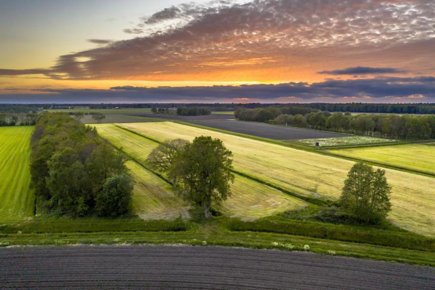 Aerial view of agricultural meadow landscape 2023 11 27 05 18 06 utc