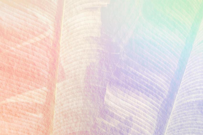 Rainbow banana leaf background illustration 2023 11 27 05 31 51 utc