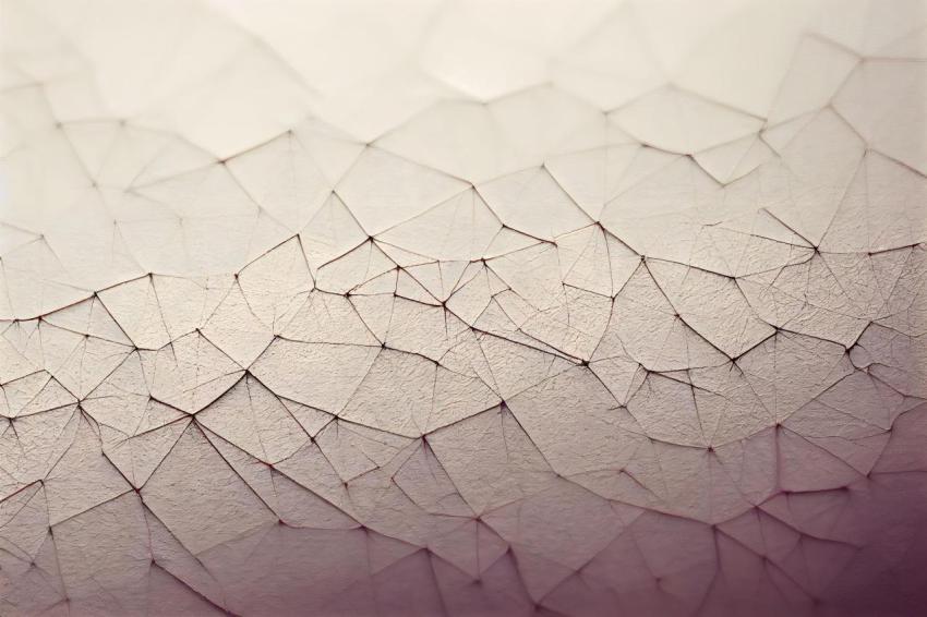 Closeup of a cracked dry eggshell prefect backgr 2023 11 27 04 53 59 utc