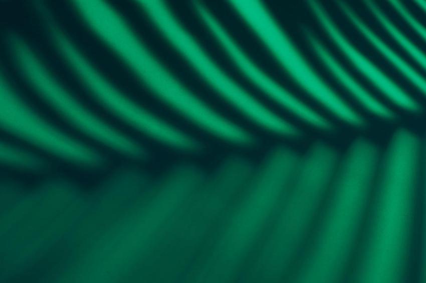 Beautiful monstera leaves shadow colored backgroun 2024 12 01 15 22 56 utc