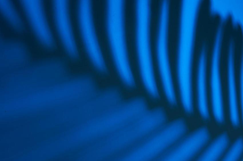 Beautiful fern leaves shadow colored background in 2024 12 03 11 50 53 utc