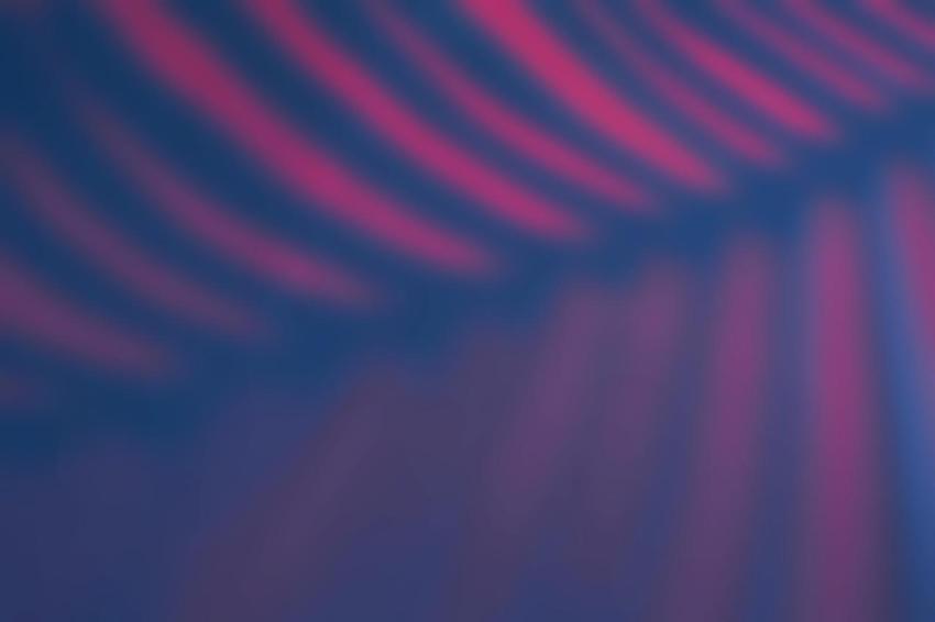 Beautiful fern leaves blue and pink shadow colored 2024 12 05 13 52 44 utc