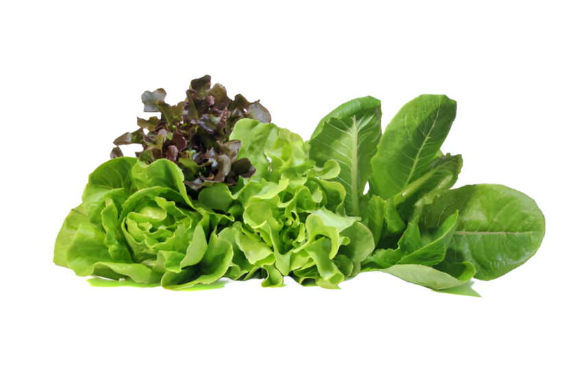 Vegetables png file free download (frefile com) 107