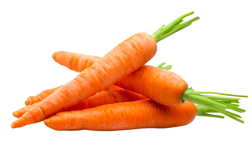 Vegetables png file free download (frefile com) 48