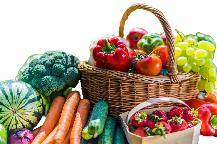 Vegetables png file free download (frefile com) 31