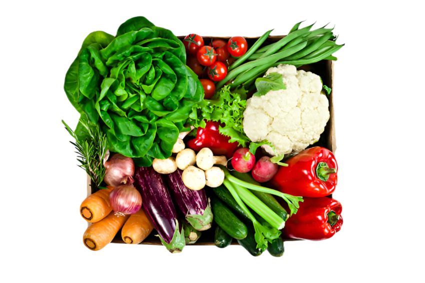 Vegetables png file free download (frefile com) 17