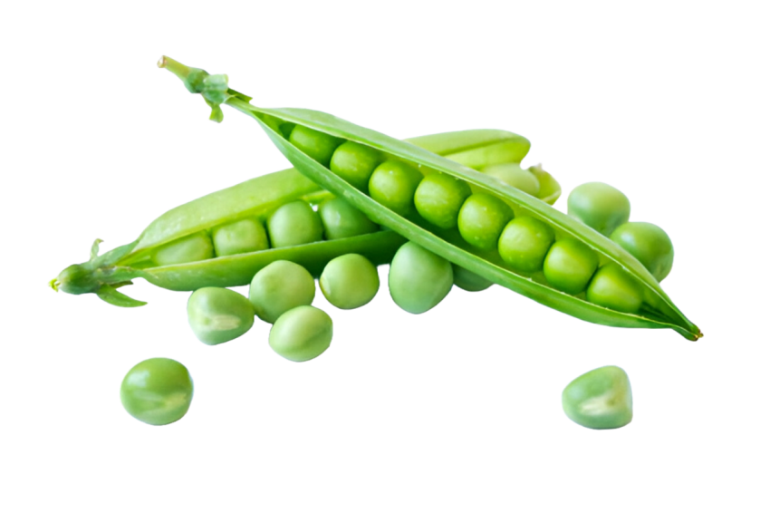 Vegetables png file free download (frefile com) 196