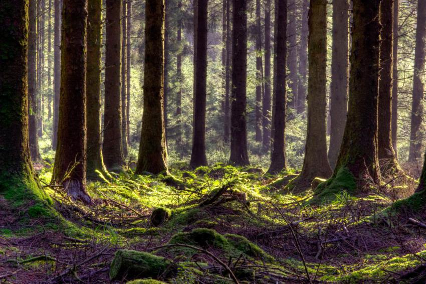 Wallpaper, people, landscape, free download (62)