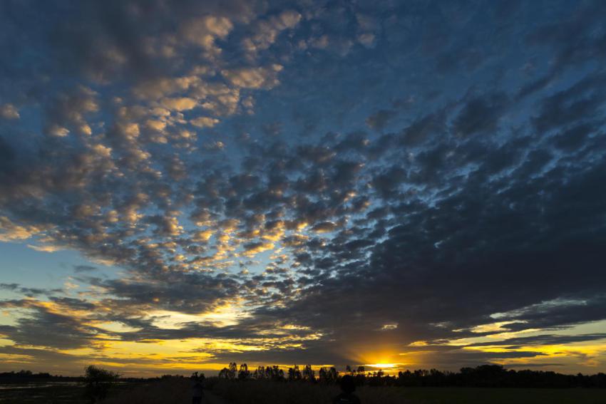 The nature sunset 2023 11 27 04 52 07 utc