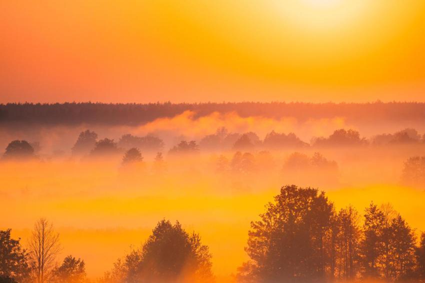 Amazing sunrise light above misty landscape sceni 2023 11 27 05 30 00 utc