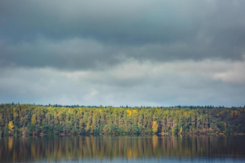 Autumn trees with reflection 2024 09 22 20 38 57 utc