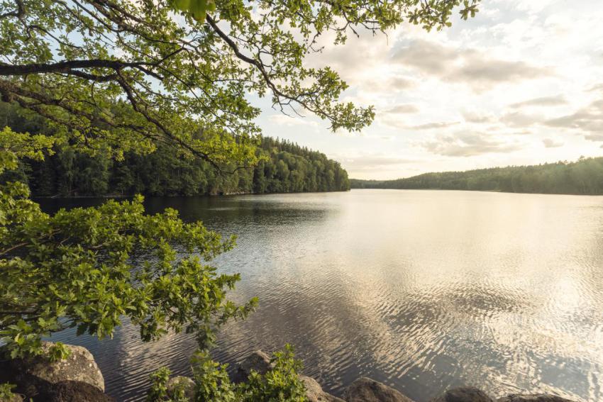 Beautiful lake in summer in sweden countryside in 2024 03 01 13 19 36 utc