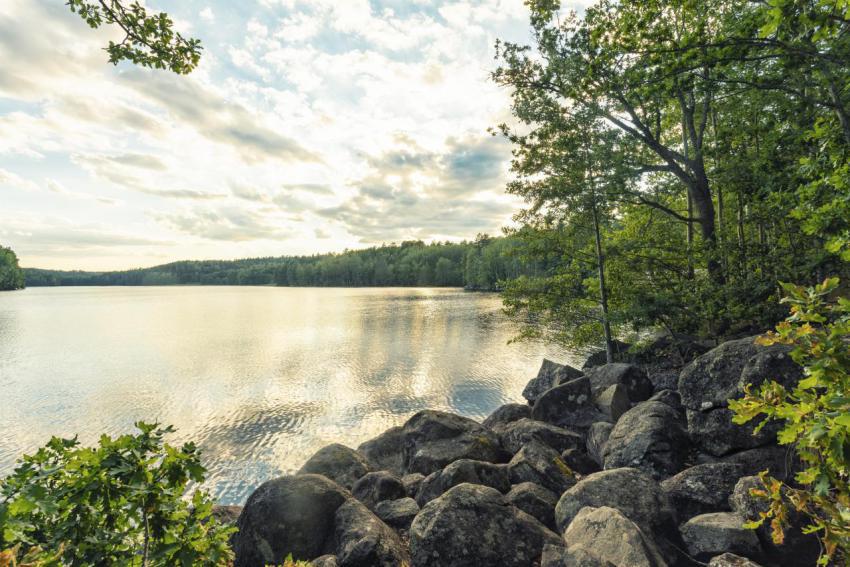 Beautiful lake in summer in sweden countryside in 2024 03 01 17 38 07 utc