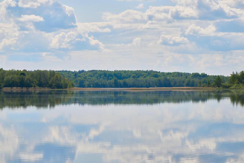 Experience the serene lakeside reflections beautif 2024 12 03 00 09 36 utc