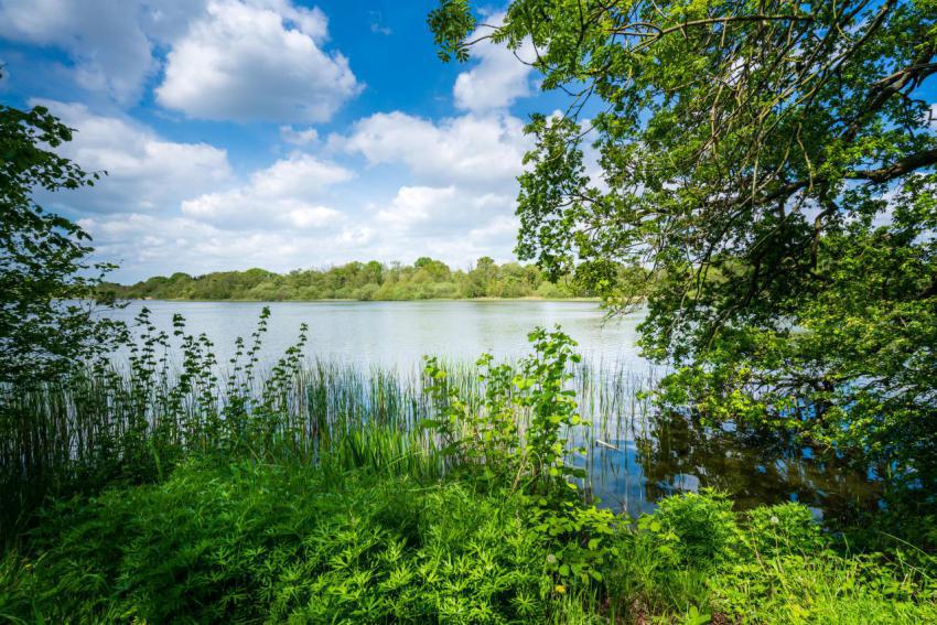 Fairhaven woodland water garden 2024 12 06 09 16 18 utc