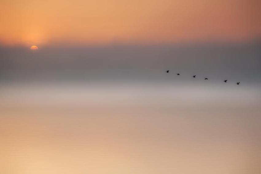 Best Wallpapers (99)