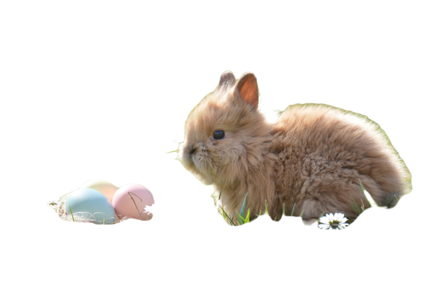 Easter 2197043