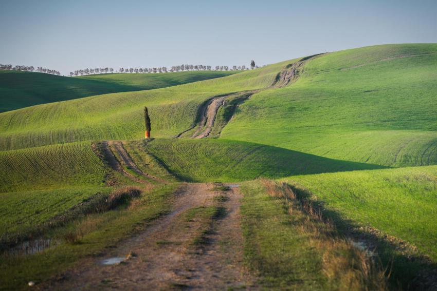 Wonderful empty green fields 2023 11 27 05 10 34 utc