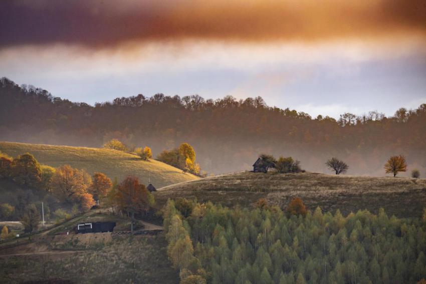 Moody autumn landscape in a rural transylvanian vi 2024 10 11 12 23 03 utc