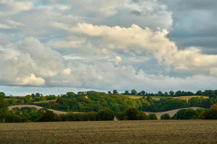 Scenic shot of the the chiltern hills in bedfordsh 2023 11 27 05 19 36 utc