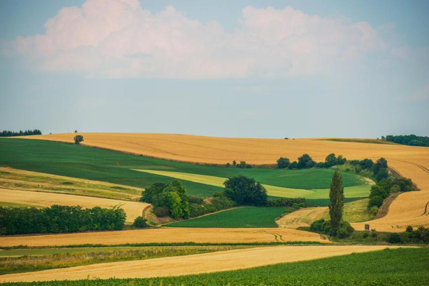 Scenic agriculture landscape 2023 11 27 05 22 30 utc