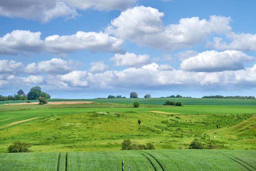 Green fields and blue skies green fields and blue 2023 11 27 05 01 10 utc