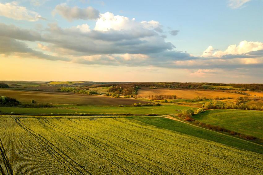 Aerial view of bright green agricultural farm fiel 2024 12 06 13 38 07 utc