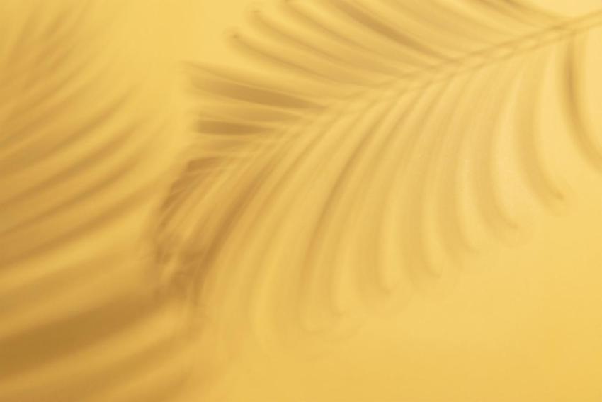 Tropical palm leaves on yellow background with sun 2024 12 06 17 45 56 utc