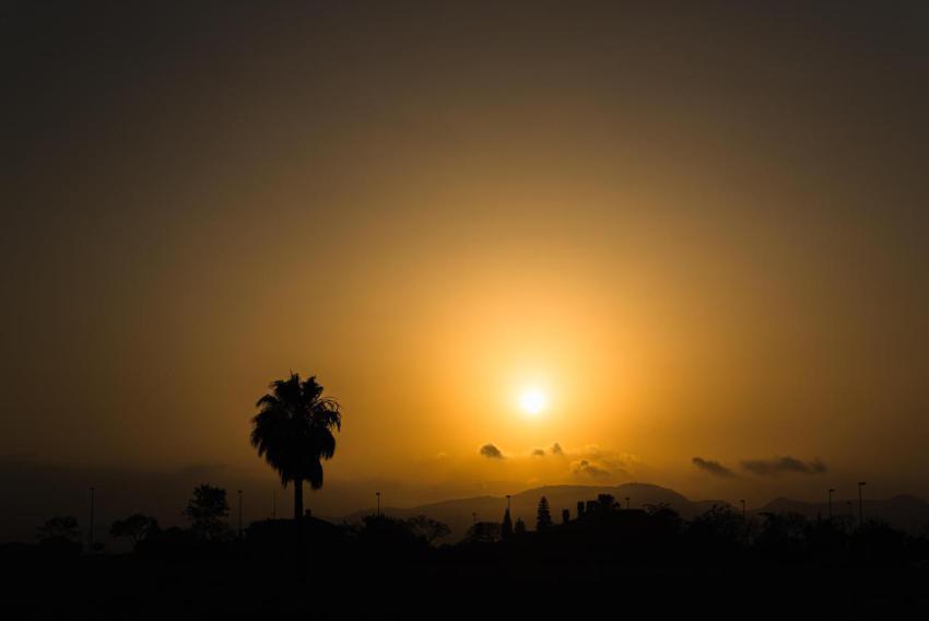 Silhouette of a desert landscape with a palm tree 2024 10 18 08 42 44 utc