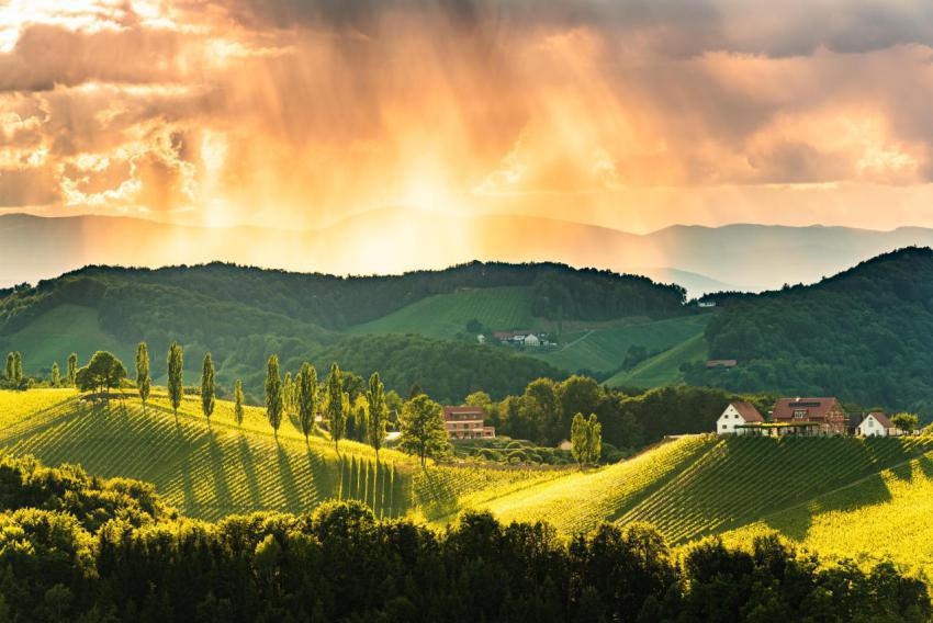 Beautiful landscape of austrian vineyards in south 2024 10 18 07 45 16 utc