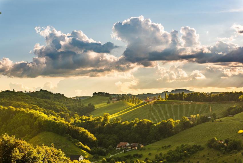 Beautiful landscape of austrian vineyards in south 2024 10 18 07 34 24 utc