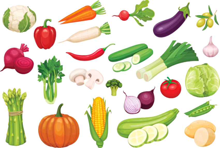 Vegetables png file free download (frefile com) 118