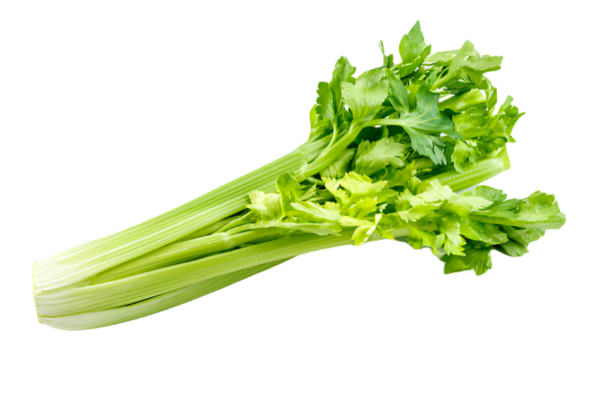 Vegetables png file free download (frefile com) 19
