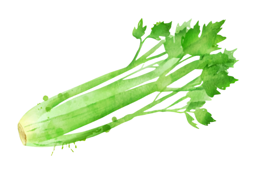 Vegetables png file free download (frefile com) 58
