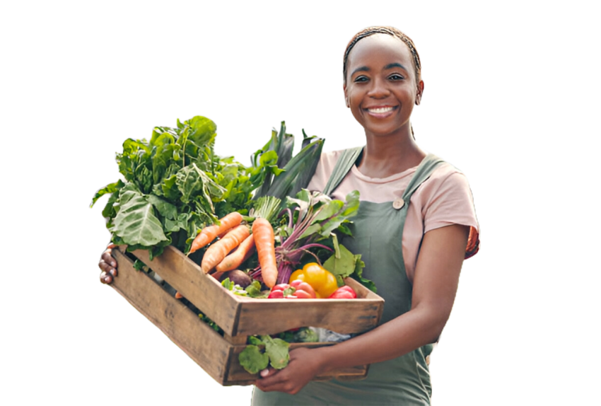 Vegetables png file free download (frefile com) 183
