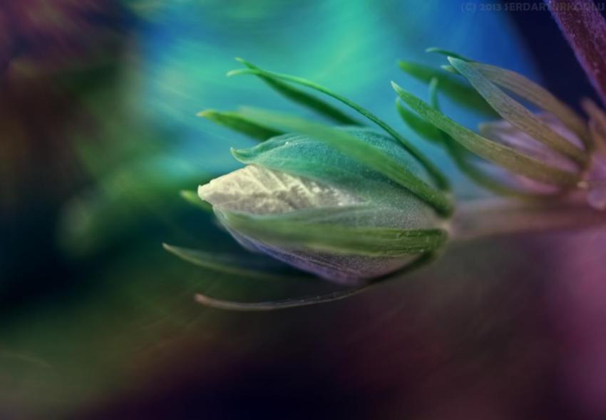 Landscape, natural, background, free download (74)