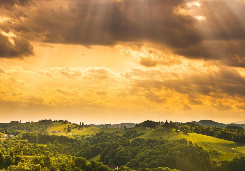 South styria vineyards landscape near gamlitz au 2024 10 18 07 27 25 utc