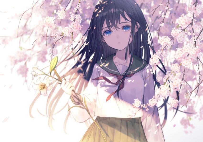 Amazing Wallpapers (71)