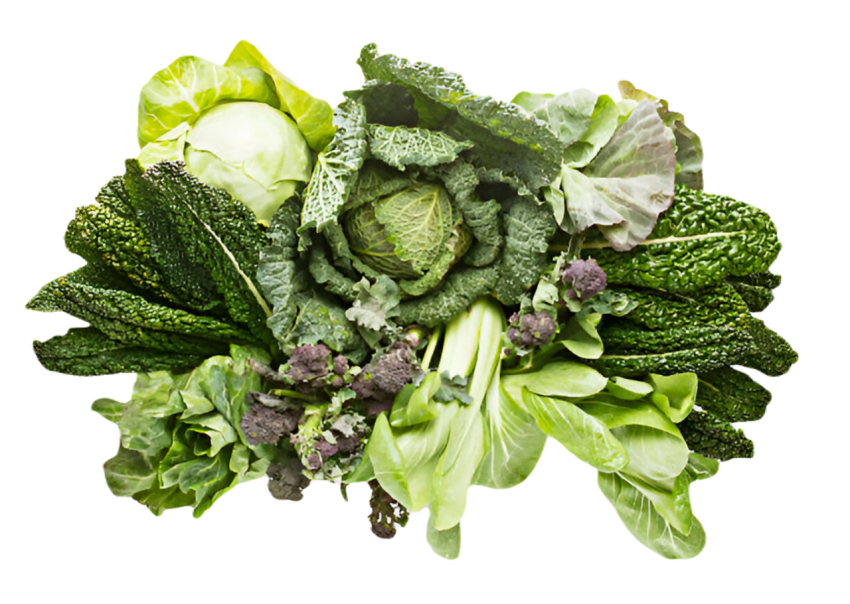 Vegetables png file free download (frefile com) 2