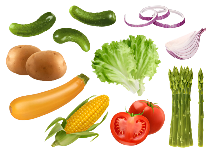 Vegetables png file free download (frefile com) 42