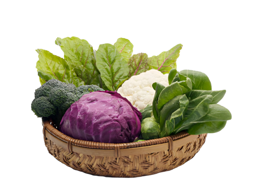 Vegetables png file free download (frefile com) 159